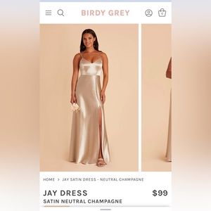 Jay Satin Dress - Neutral Champagne × 1
S / NEUTRAL CHAMPAGN